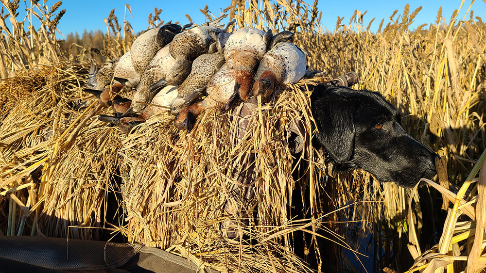 Early Goose Hunting Season in MN Palisade Flats Hunt Club