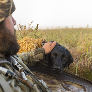 duck hunting in the blind