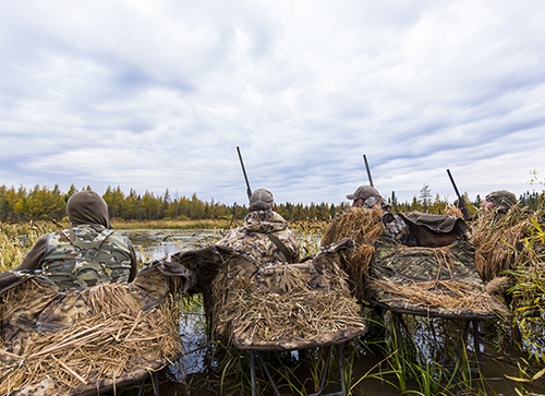 Duck hunting in MoMarsh chair blinds